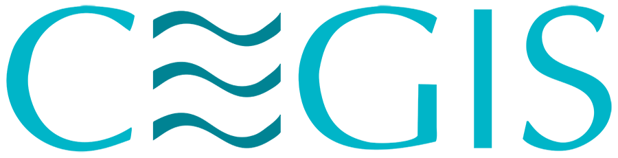 CEGIS